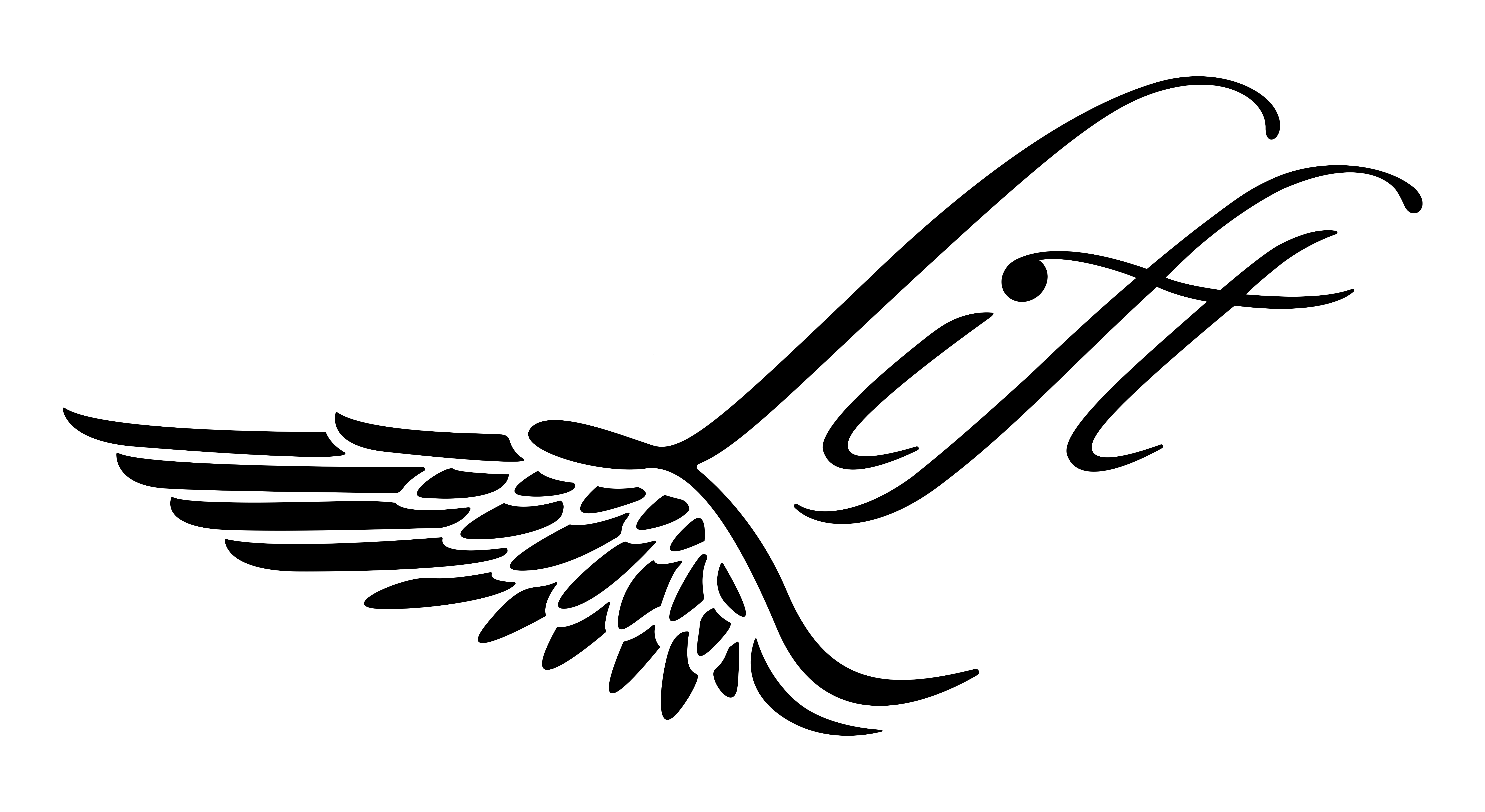 BlackLogo Lift Foils2