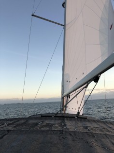 IMG 0712
