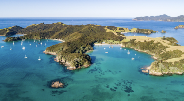 Urupukapuka