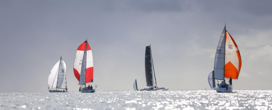 2026 whangaroa race recap 36 degrees brokers