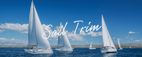 Sail Trim with Robbs News Article