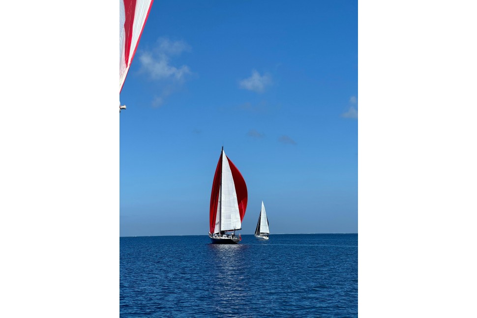 3 Clarke 72 Vodou Ho Gennaker jpeg2