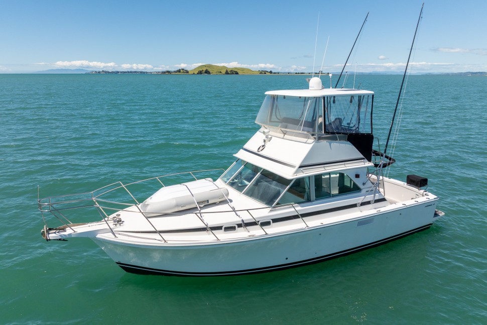 Bertram Caribbean 35 Pacific Tiger 006