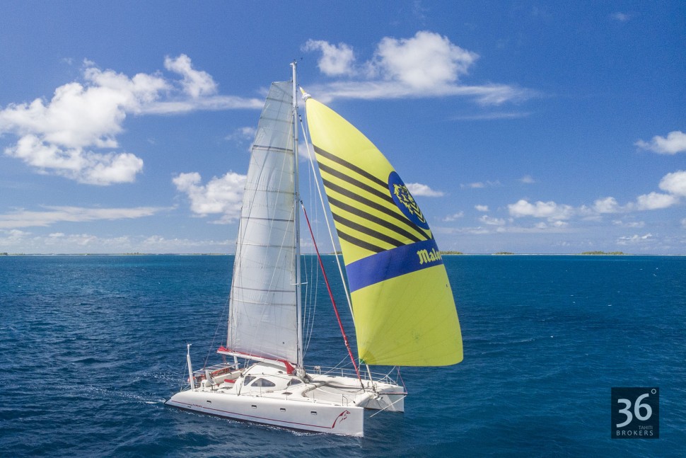 brazapi 50 catamaran