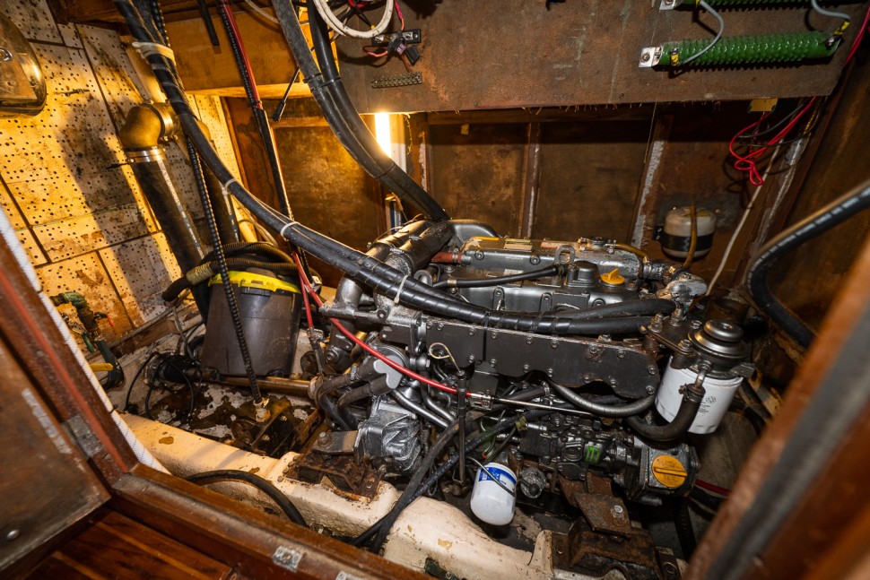 Choy Lee Salty 47 16