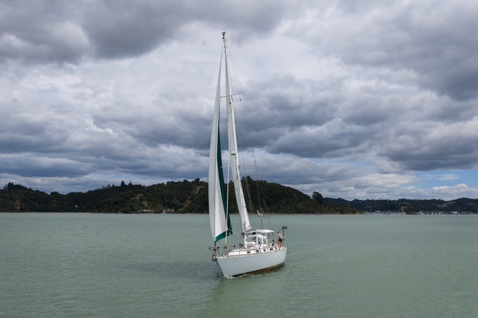 Choy Lee Salty 47 18