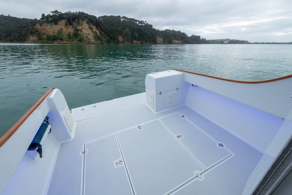 Edlin 1020 Wairoa 12 Cockpit2
