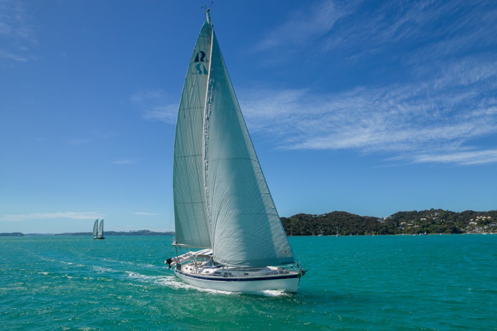 HALLBERG RASSY 54304