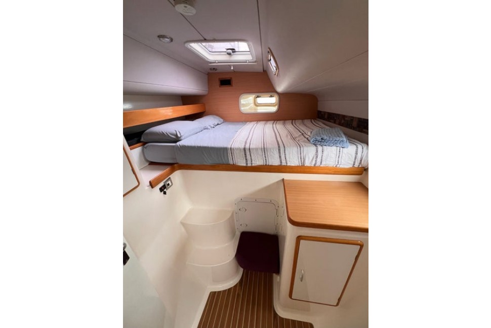 Leopard 45 Paws Time 11