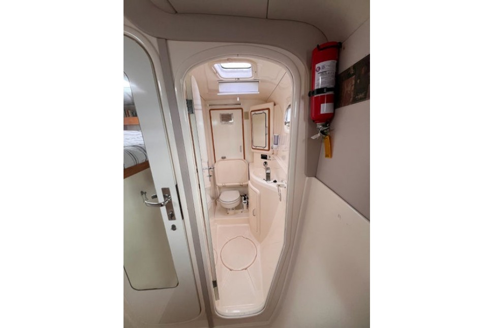 Leopard 45 Paws Time 12