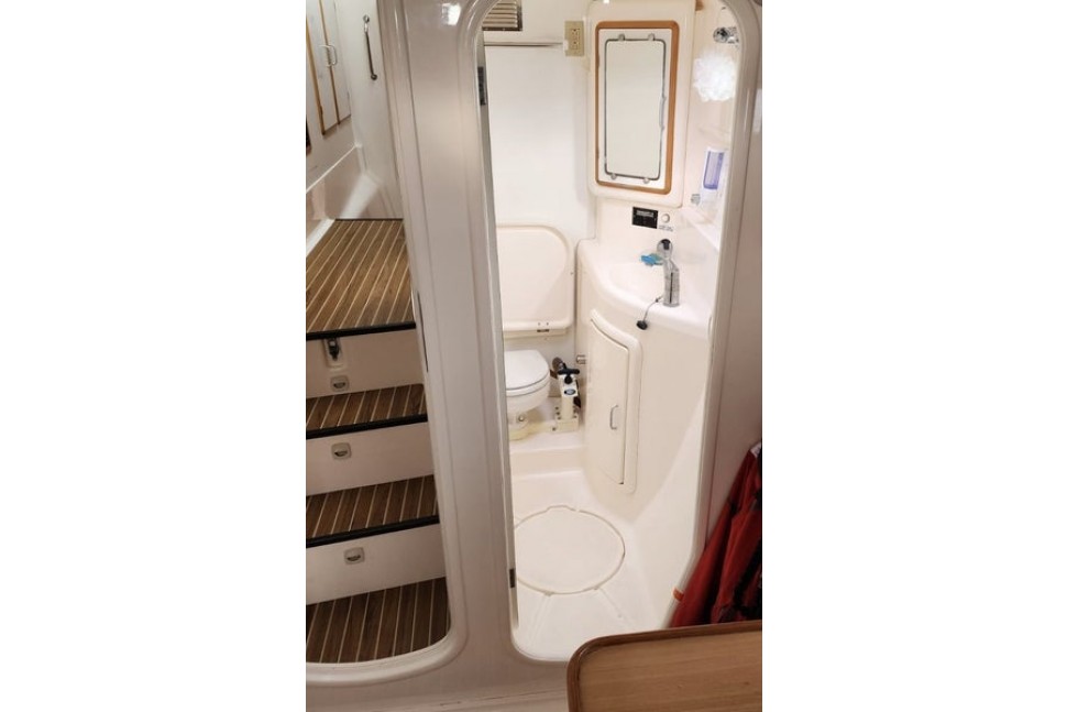 Leopard 45 Paws Time 13