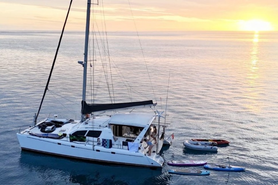 Leopard 45 Paws Time 3