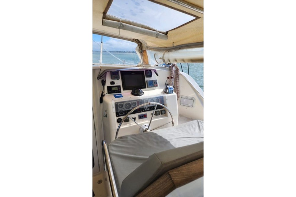 Leopard 45 Paws Time 8