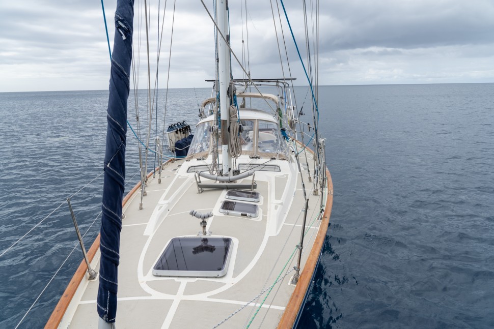 NORSEMAN447 209