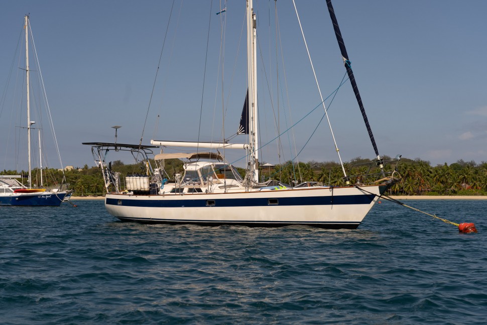 NORSEMAN447 LR 203