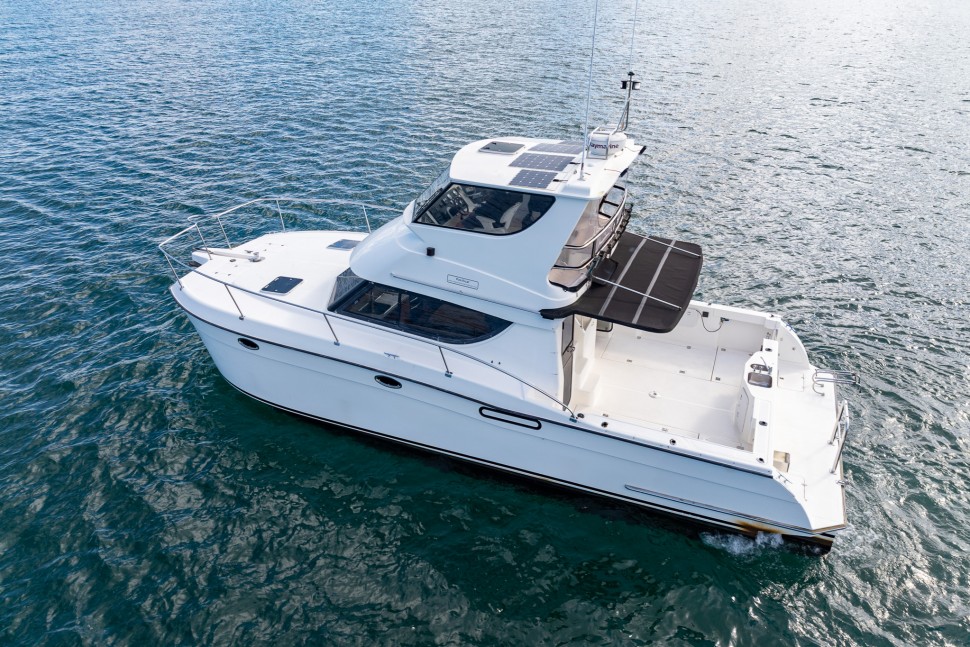 Pacificat Last One 008