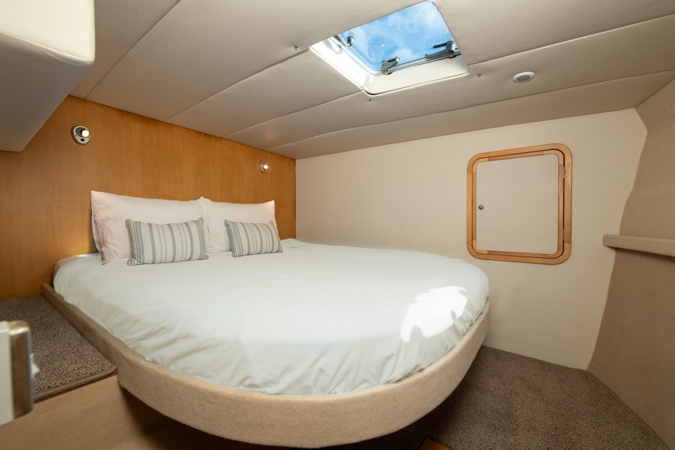 Pacificat Last One 016