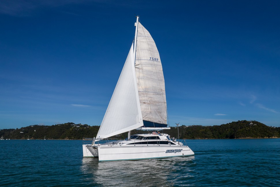 Perry 43 image