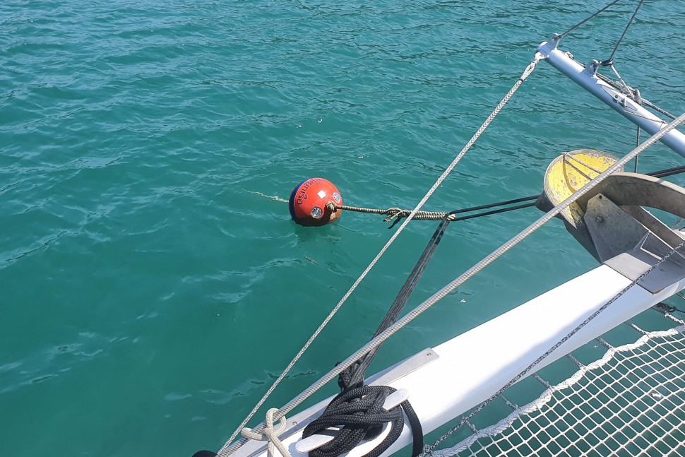 Punch1500LC Shambala 05