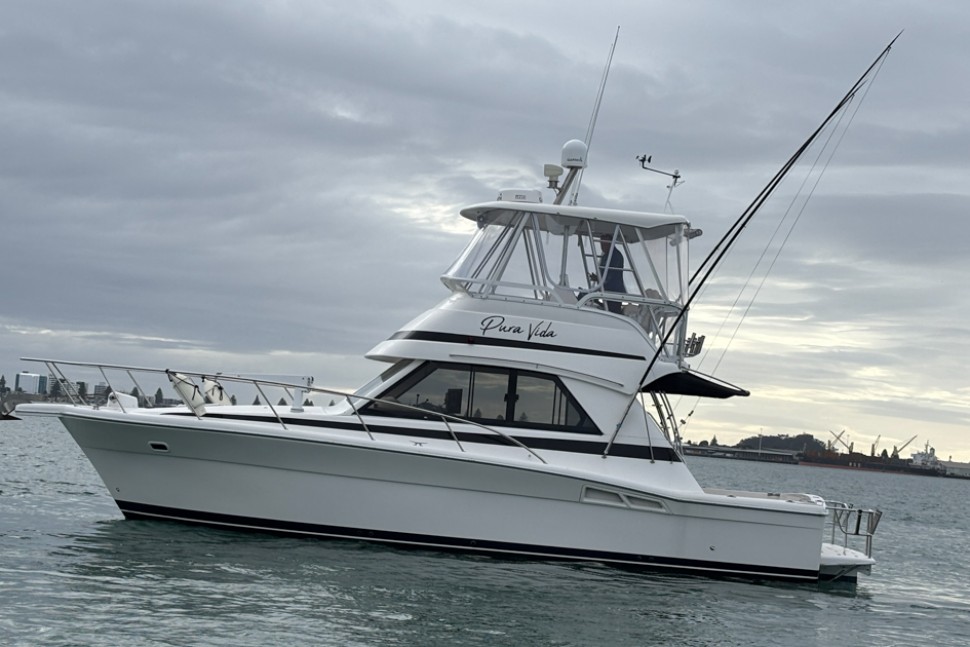 Riviera 34 4