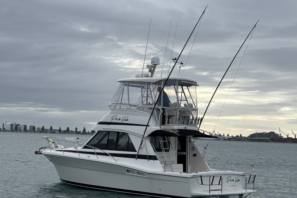 Riviera 34 5