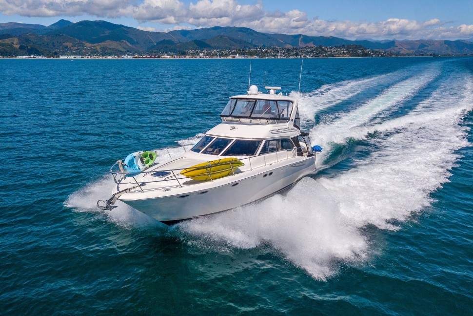 Sea Ray 48 4