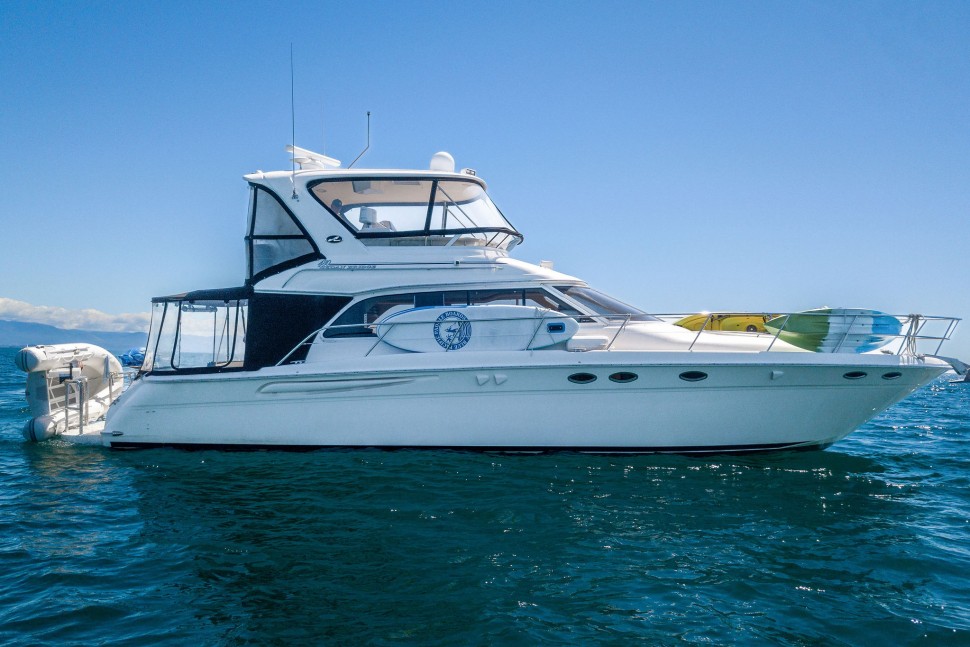 Sea Ray 48 9