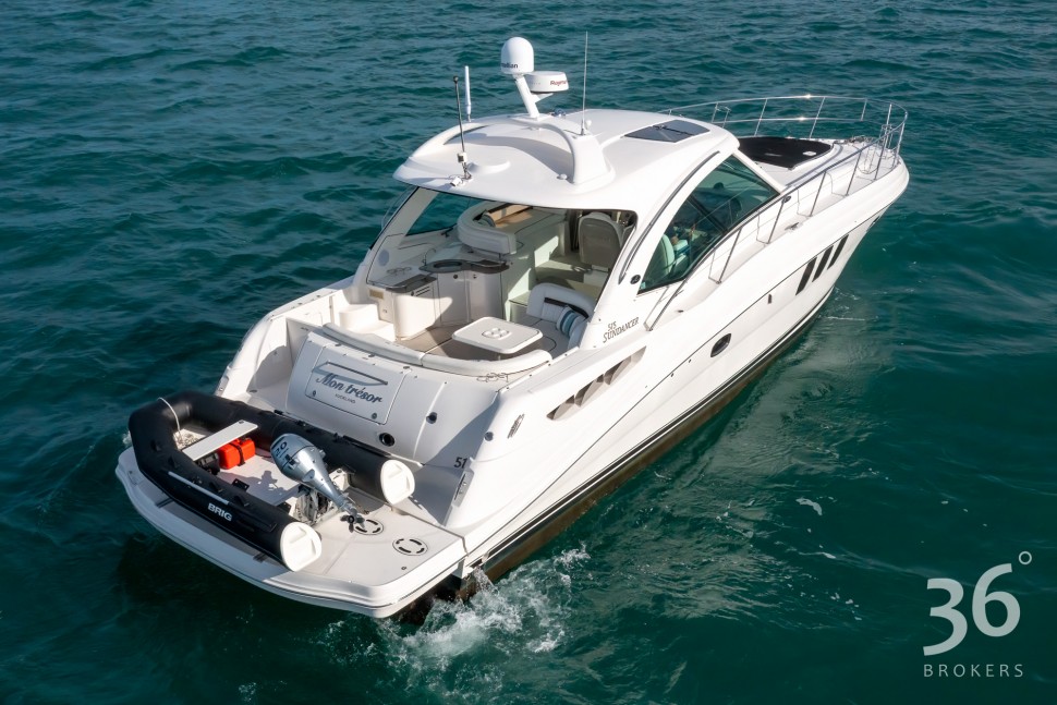 Sea Ray 515 10