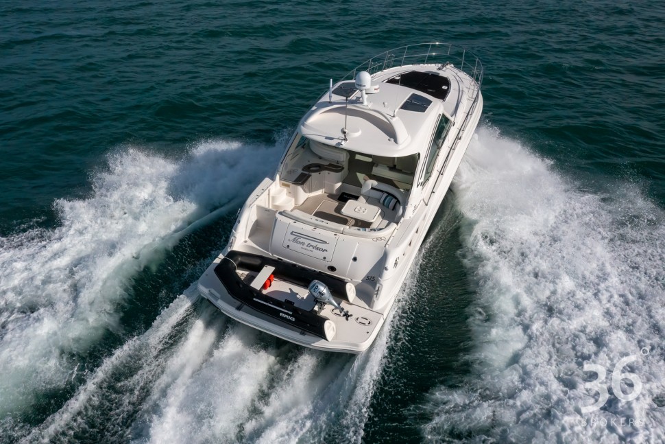 Sea Ray 515 4