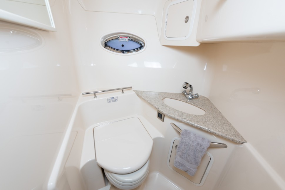 Searay 44 19 Guest Head