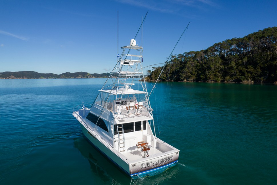 Viking 55C 5