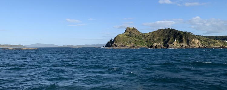 'Tis the Cruisers season in Opua