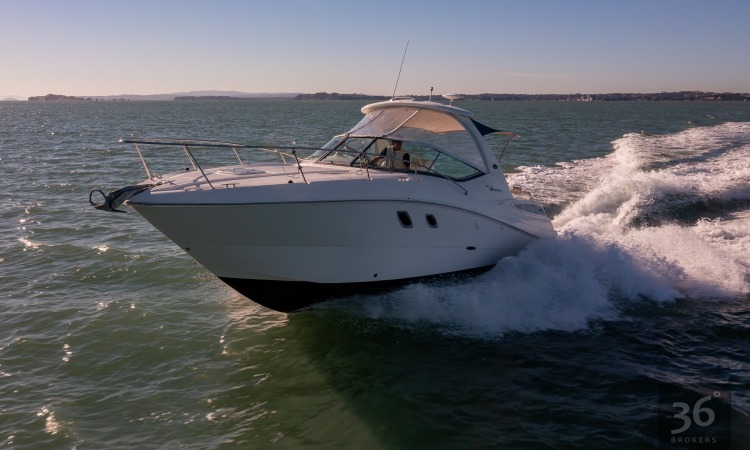 Sea Ray Sundancer 310 3