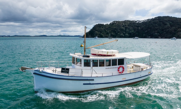 WILD DUCK LR 7