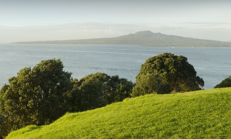 vedo marine photography rangitoto